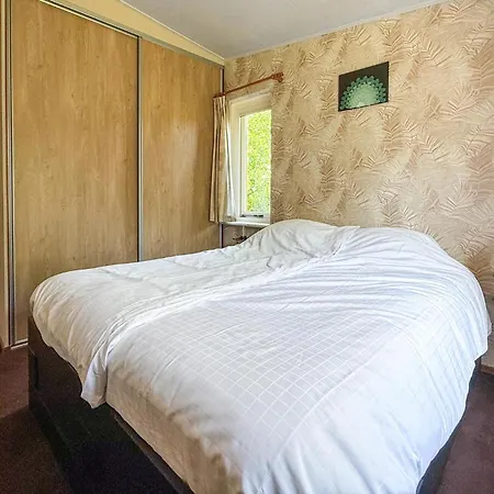 Cozy In With Wifi プッテン